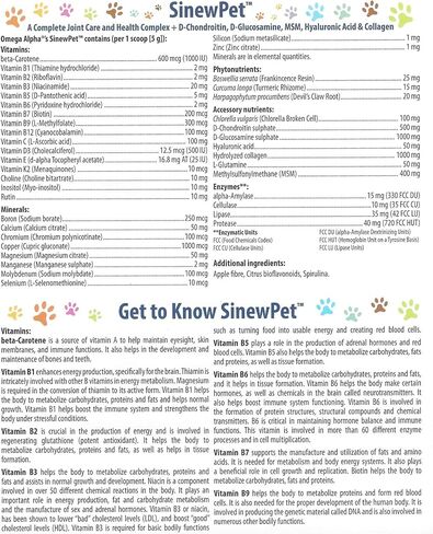 Omega Alpha Pets - Performance & Mobility-A Complete Joint Care and Health Complex + D-Chondroitin, D-Glucosamine, MSM, Hyaluronic Acid & Collagen- SinewPet-500g (One Bottles) in Saudi Arabia