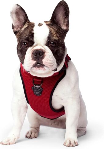 كندا بوش كل شيء بدون سحب الكلب - حزام المشي السهل للكلاب مع شبكة خارجية قابلة للتنفس، حزام مشي للكلاب قابل للتعديل in Kuwait