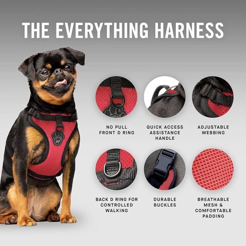 كندا بوش كل شيء بدون سحب الكلب - حزام المشي السهل للكلاب مع شبكة خارجية قابلة للتنفس، حزام مشي للكلاب قابل للتعديل in Kuwait