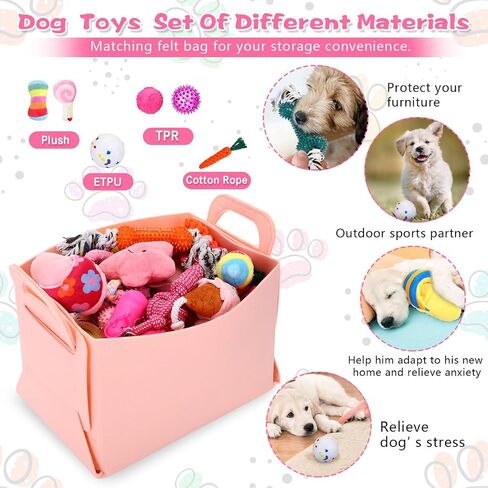 65 Pcs Puppy Supplies Starter Kit Small Dog Essentials Includes Dog Leash, Toys, Bowl, Brushes, Water Bottles, pet Blankets Puppy Accessories for New Welcome Gift Supplies(Cool,Blue) in Saudi Arabia