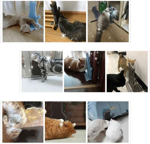 Cat Corner Self Groomer Cat Corner Groomer Brush with Catnip Soft Cat Wall Scratcher Cat Grooming Brushes Pet Self Massage Combs Wall Brush for Indoor Cats in Saudi Arabia