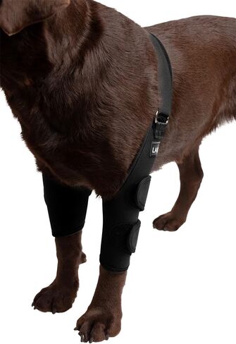 Labra Dual Shoulder Elbow Arm Front Leg Wrap Brace Hot Spots Hygromas Sprain Strain Injury Arthritis (Extra Large) in Saudi Arabia
