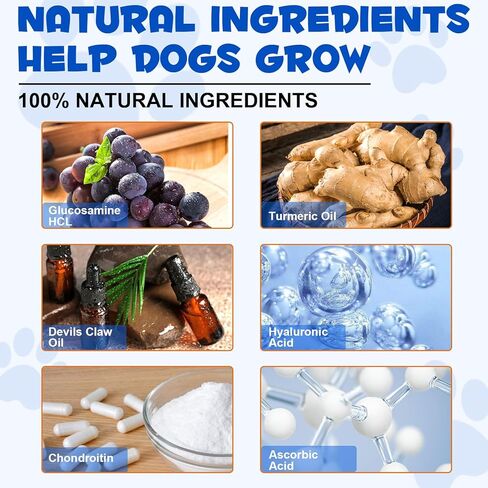 مكمل سائل لدعم الورك والمفاصل للكلاب، قطرات الجلوكوزامين للورك والمفاصل للكلاب، الجلوكوزامين للكلاب، يدعم صحة المفاصل، علاجات لتخفيف آلام مفاصل الكلاب، الجلوكوزامين السائل للكلاب in Kuwait