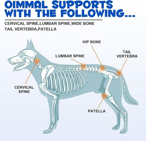مكمل سائل لدعم الورك والمفاصل للكلاب، قطرات الجلوكوزامين للورك والمفاصل للكلاب، الجلوكوزامين للكلاب، يدعم صحة المفاصل، علاجات لتخفيف آلام مفاصل الكلاب، الجلوكوزامين السائل للكلاب in Kuwait