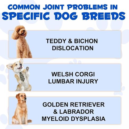 مكمل سائل لدعم الورك والمفاصل للكلاب، قطرات الجلوكوزامين للورك والمفاصل للكلاب، الجلوكوزامين للكلاب، يدعم صحة المفاصل، علاجات لتخفيف آلام مفاصل الكلاب، الجلوكوزامين السائل للكلاب in Kuwait