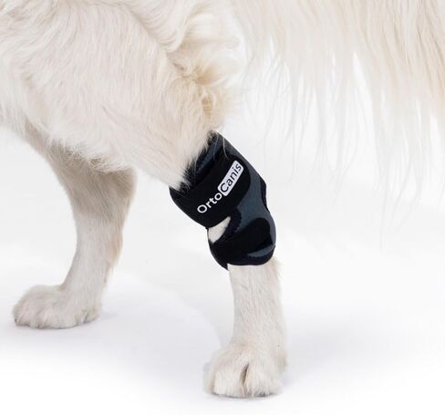 Ortocanis - Hock Support for Dogs with Osteoarthritis. Ligament Injuries or Tendon Inflammation of Joints. Size M in Saudi Arabia