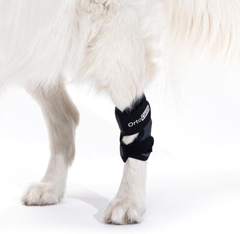Ortocanis - Hock Support for Dogs with Osteoarthritis. Ligament Injuries or Tendon Inflammation of Joints. Size M in Saudi Arabia