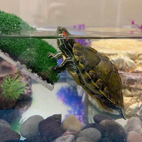 XMHF Turtle Basking Platform, Tortoise Ramp Reptile Ladder Resting Terrace Fish Tank Aquarium Turtle Dock Floating Decor for Reptile Frog Terrapin Large in Kuwait