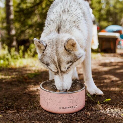 Widlerdog Stainless Steel Dog Bowl with Extra Durable Kitchen-grade BPA-free Stainless Steel with Non-slip Rubber Ringed Bottom (Black, 64 oz) in Saudi Arabia