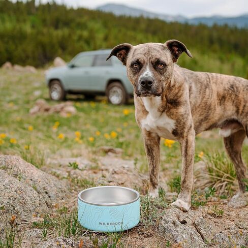 Widlerdog Stainless Steel Dog Bowl with Extra Durable Kitchen-grade BPA-free Stainless Steel with Non-slip Rubber Ringed Bottom (Black, 64 oz) in Saudi Arabia