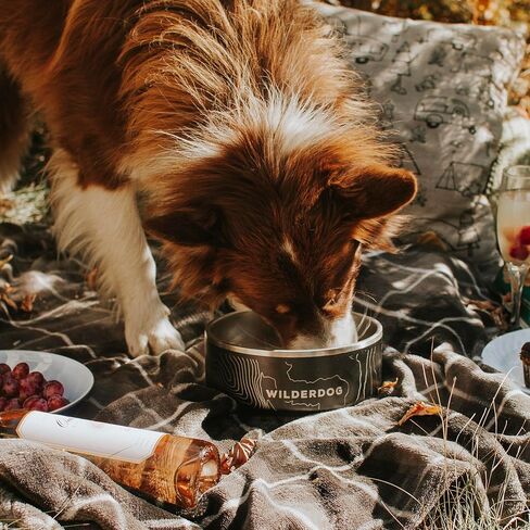 Widlerdog Stainless Steel Dog Bowl with Extra Durable Kitchen-grade BPA-free Stainless Steel with Non-slip Rubber Ringed Bottom (Black, 64 oz) in Saudi Arabia