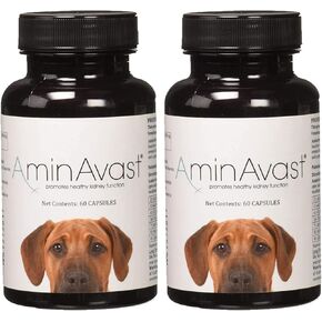 Kidney Support Supplement for Dogs, 1000mg 2-Pack - Promotes Natural Kidney Function - Aids in Health and Vitality of Aging Kidneys - Easily Administered - 60 Sprinkle Capsules