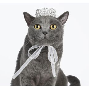 Pet Series Royal Rhinestone Mini Full Round Dog/Cat Crown for Costume Small Dog Hair Accessories-