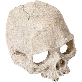 Halloween Aquarium Landscape Skull Aquarium Skull Artificial Skeleton Decoration for Home Décor Aquarium Fish Tank Landscape Collectible Teaching Prop