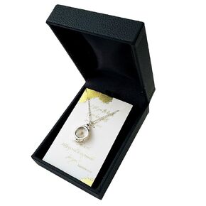 Mustard seed necklace, sterling silver and resin locket, boxed with scripture card