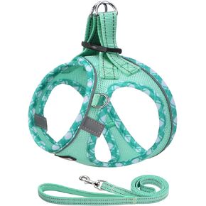 AMTOR Dog Harness with Leash Set,Upgrade No Pull Reflective Step-in Air All Weather Puppy Harness with Padded Vest for Small Dogs and Cats(Teal,Small)