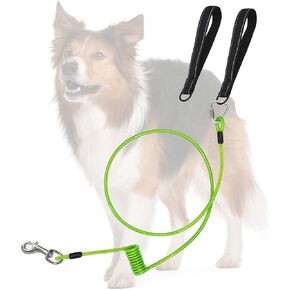 6Ft Chew Proof Dog Leash, Metal Dog Cable Chain Leash with Soft Padded Handle, Waterproof Leads Coated Wire Cable for Walking Medium and Large Dogs Up to 250lbs (Black)
