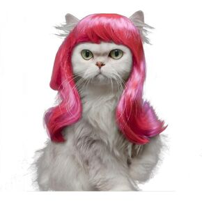 Long Synthetic Female Pet Wigs Dog Cat Hair Costumes