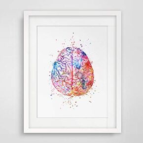 Watercolor Anatomy Brain Wall Art Decor Anatomical Brain Vintage Graphics Art Print Wall Hanging Original Design Brain Printed Artwork 8x10 inch No Frame