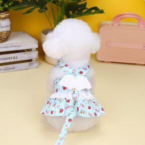 Cute Angel Wings Dog Harness Small Dog Harness Dress with Leash Set Puppy Girls Vest Harnesses Soft Pet Puppy Leash Set Training Leads Rope Vest Strap for Small Dogs Kitten Chihuahua Pug