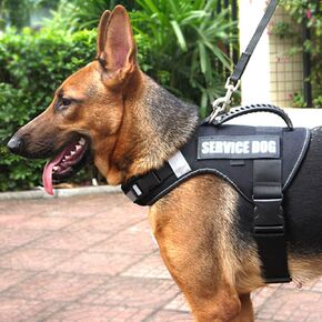 No Pull Service Dog Vest Harness (L) with Soft Handle and Reflective Stripe for Service Dogs Adjustable Padded Vest with Removable Reflective Patches for Small Medium Large Dogs
