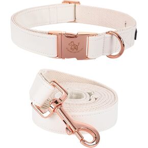 طوق ومقود كلب صغير أنيق، طوق متين للحيوانات الأليفة للفتيات أو الصبيان، طوق كلب من الجلد، أطواق كلب قابلة للتعديل للكلاب الصغيرة in Kuwait