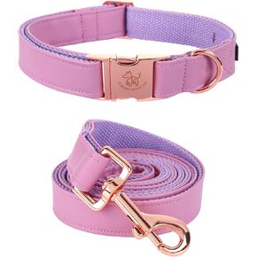 Elegant little tail Dog Collar and Leash, Girl or Boy Durable Pet Collar, Leather Dog Collar Adjustable Dog Collars for Small Dogs