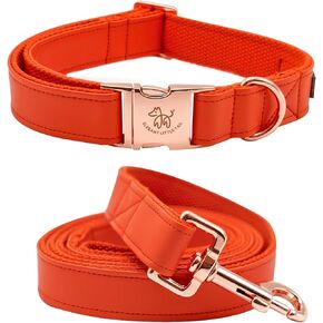 Elegant little tail Dog Collar and Leash, Girl or Boy Durable Pet Collar, Leather Dog Collar Adjustable Dog Collars for Small Dogs