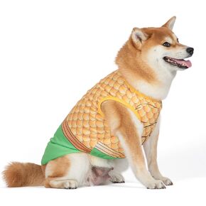 DC Comics Superhero Aquaman Halloween Costume for Dogs - Large | DC Superhero Halloween Costumes for Dogs, Funny Dog Costumes | Officially Licensed DC Dog Halloween Costume