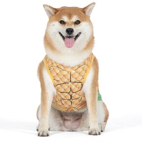 DC Comics Superhero Aquaman Halloween Costume for Dogs - Large | DC Superhero Halloween Costumes for Dogs, Funny Dog Costumes | Officially Licensed DC Dog Halloween Costume in Kuwait