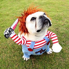 Deadly Doll Dog Clothes, Pets Costume Halloween Cosplay for Dogs, Funny Dog Party Clothes Hat Christmas Costume Dog Party Clothes (M)