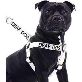 Deaf Dog White Color Coded L-XL Non pull Dog Harness Prevents Accidents By Warning Others of Your Dog in Advance