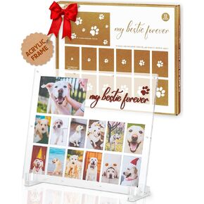 Acrylic Dog Picture Frame, Pet Keepsake Frame, Pet Memorial Gift for Loss of Dog, Dog Photo Collage Frame, Pet Lovers, Cats, Pet Loss Gifts, Puppy Frame