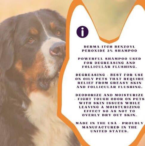 ديرما-إيتش، شامبو بنزويل بيروكسيد 3% للكلاب، 12 أونصة. in Kuwait