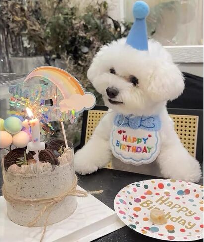 طقم حفلة عيد ميلاد الكلب، قبعات عيد ميلاد لطيفة للكلاب ومنديل مع أرقام لمستلزمات الحفلات، وشاح وديكور عيد ميلاد للكلاب الصغيرة والقطط وإكسسوارات أعياد ميلاد الحيوانات الصغيرة in Kuwait