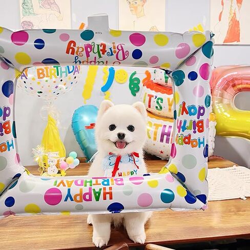 طقم حفلة عيد ميلاد الكلب، قبعات عيد ميلاد لطيفة للكلاب ومنديل مع أرقام لمستلزمات الحفلات، وشاح وديكور عيد ميلاد للكلاب الصغيرة والقطط وإكسسوارات أعياد ميلاد الحيوانات الصغيرة in Kuwait