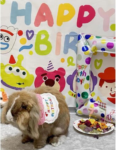 طقم حفلة عيد ميلاد الكلب، قبعات عيد ميلاد لطيفة للكلاب ومنديل مع أرقام لمستلزمات الحفلات، وشاح وديكور عيد ميلاد للكلاب الصغيرة والقطط وإكسسوارات أعياد ميلاد الحيوانات الصغيرة in Kuwait