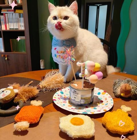 طقم حفلة عيد ميلاد الكلب، قبعات عيد ميلاد لطيفة للكلاب ومنديل مع أرقام لمستلزمات الحفلات، وشاح وديكور عيد ميلاد للكلاب الصغيرة والقطط وإكسسوارات أعياد ميلاد الحيوانات الصغيرة in Kuwait