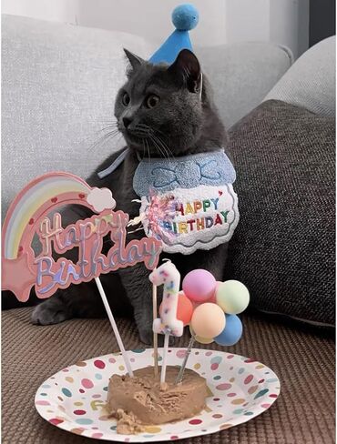 طقم حفلة عيد ميلاد الكلب، قبعات عيد ميلاد لطيفة للكلاب ومنديل مع أرقام لمستلزمات الحفلات، وشاح وديكور عيد ميلاد للكلاب الصغيرة والقطط وإكسسوارات أعياد ميلاد الحيوانات الصغيرة in Kuwait