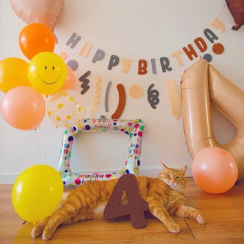 طقم حفلة عيد ميلاد الكلب، قبعات عيد ميلاد لطيفة للكلاب ومنديل مع أرقام لمستلزمات الحفلات، وشاح وديكور عيد ميلاد للكلاب الصغيرة والقطط وإكسسوارات أعياد ميلاد الحيوانات الصغيرة in Kuwait