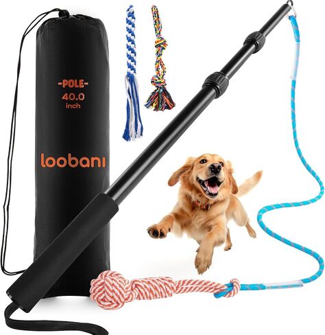 LOOBANI Upgraded Flirt Pole for Dogs, Extendable Dog Flirt Pole with Detachable Interactive Toys, Reinforced Aluminum Alloy Flirt Stick for Small Medium Dogs Training, Playing, Exercise(Pole-40in Max) in Saudi Arabia
