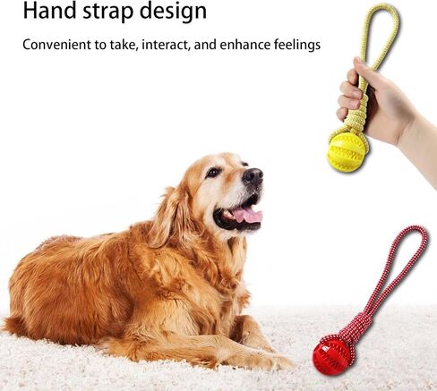Pet ball, dog toy ball, toy dog ball with rope, pet interactive toy, rope dog ball toy, throwing toy ball, small and medium-sized dogs, tough rope, durable dog ball, TPR rubber ball (HLQ) in Saudi Arabia