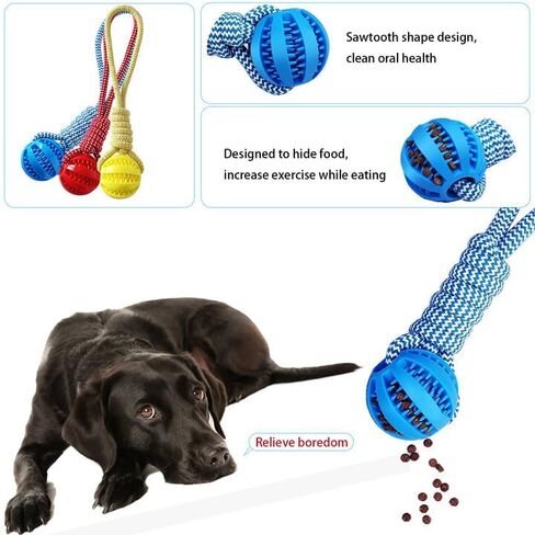 Pet ball, dog toy ball, toy dog ball with rope, pet interactive toy, rope dog ball toy, throwing toy ball, small and medium-sized dogs, tough rope, durable dog ball, TPR rubber ball (HLQ) in Saudi Arabia
