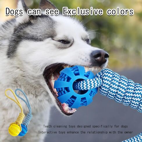 Pet ball, dog toy ball, toy dog ball with rope, pet interactive toy, rope dog ball toy, throwing toy ball, small and medium-sized dogs, tough rope, durable dog ball, TPR rubber ball (HLQ) in Saudi Arabia