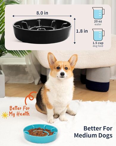 Ceramic Slow Feeder Dog Bowls for Small Medium Breed, 2 Cup Slow Feeding Dog Food Dishes, Slow Eating Bowl for Fast Eater Interactive Puppy Puzzle Bowl Anti-Gulping Non-Slip Dishwasher Safe in Kuwait