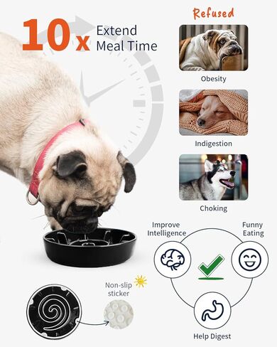 Ceramic Slow Feeder Dog Bowls for Small Medium Breed, 2 Cup Slow Feeding Dog Food Dishes, Slow Eating Bowl for Fast Eater Interactive Puppy Puzzle Bowl Anti-Gulping Non-Slip Dishwasher Safe in Kuwait