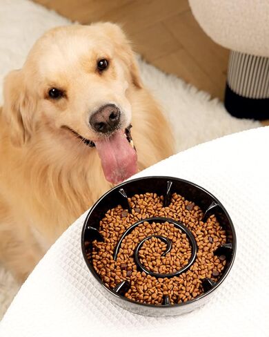 Ceramic Slow Feeder Dog Bowls for Small Medium Breed, 2 Cup Slow Feeding Dog Food Dishes, Slow Eating Bowl for Fast Eater Interactive Puppy Puzzle Bowl Anti-Gulping Non-Slip Dishwasher Safe in Kuwait