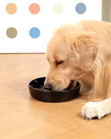 Ceramic Slow Feeder Dog Bowls for Small Medium Breed, 2 Cup Slow Feeding Dog Food Dishes, Slow Eating Bowl for Fast Eater Interactive Puppy Puzzle Bowl Anti-Gulping Non-Slip Dishwasher Safe in Kuwait