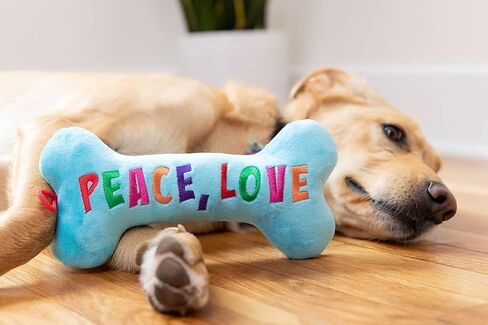 Huxley & Kent for Dogs | Dear Santa Bone (Small) | Christmas Holiday Power Plush Dog Toy with Squeaker | Funny Dog Toy | Cute Dog Toy | H&K Squeaky Dog Toy in Saudi Arabia