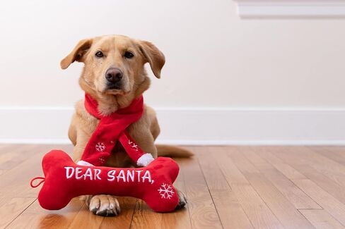 Huxley & Kent for Dogs | Dear Santa Bone (Small) | Christmas Holiday Power Plush Dog Toy with Squeaker | Funny Dog Toy | Cute Dog Toy | H&K Squeaky Dog Toy in Saudi Arabia